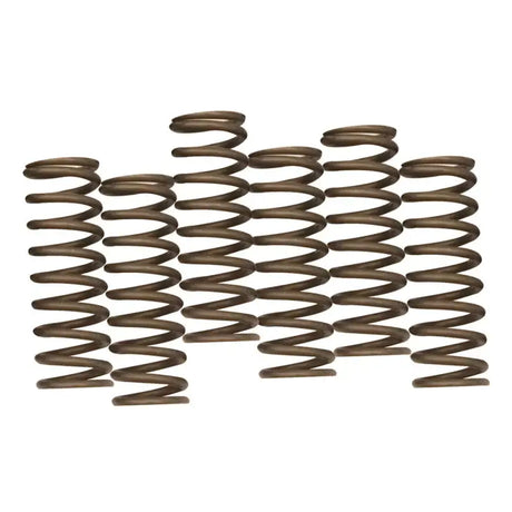 Arrangement of metal coil springs for Hinson clutch CS641-6-1901 Yamaha parts