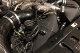 Automobile engine compartment with CSF twin charge-air-cooler set in crinkle black finish