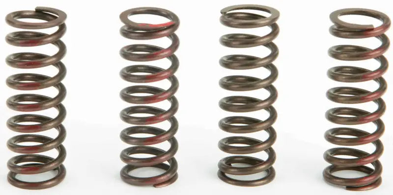 CSH09450 Clutch Springs