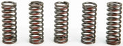 CSH10250-CS Clutch Springs