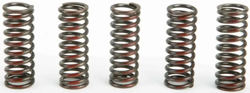CSH10250-CS Clutch Springs