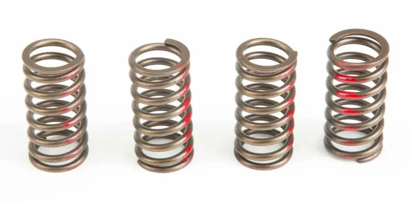 CSH12150-CS Clutch Springs