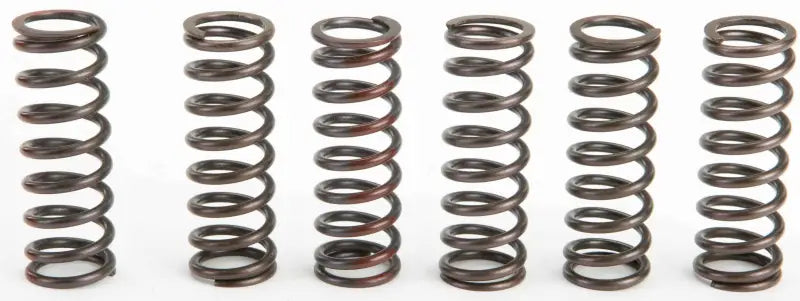 CSH13450-CS Clutch Springs