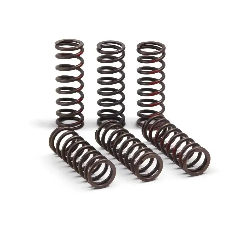 CSH21450-CS Clutch Springs Pro Circuit