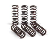 CSH21450-CS Clutch Springs Pro Circuit