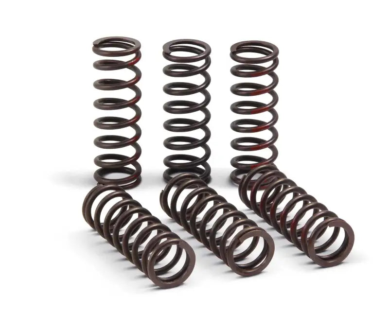 CSH21450-CS Clutch Springs Pro Circuit