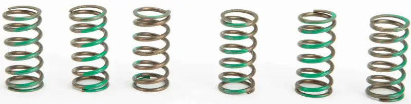 CSK09065 Clutch Springs
