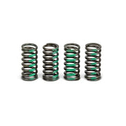 CSK09085 Clutch Springs