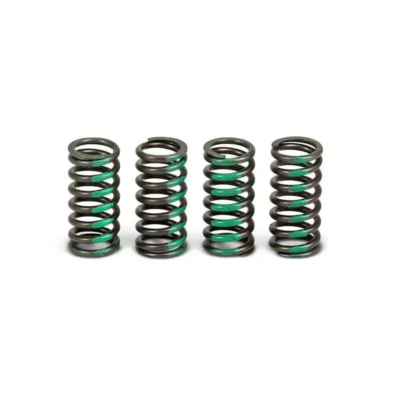 CSK09085 Clutch Springs