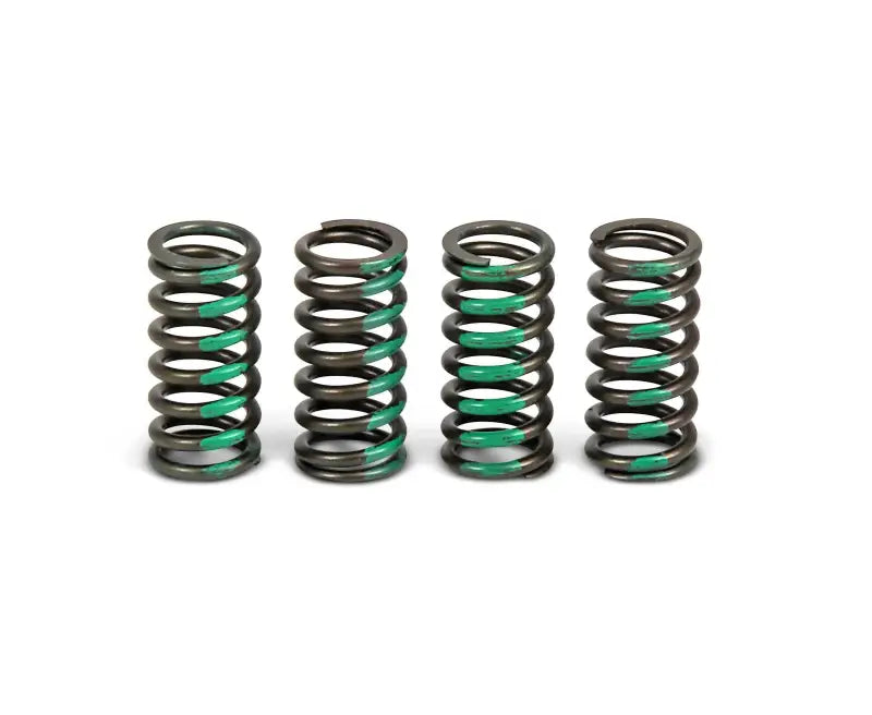 CSK09085 Clutch Springs
