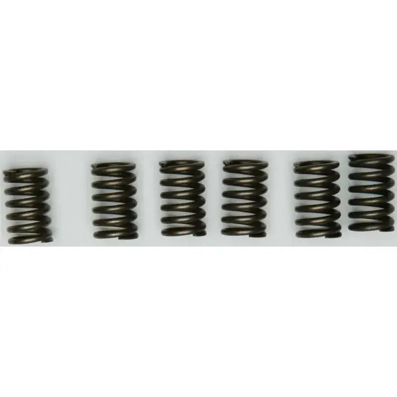 EBC CSK131 Clutch Springs