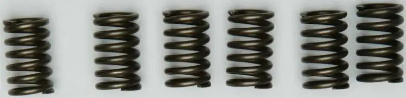 EBC CSK131 Clutch Springs
