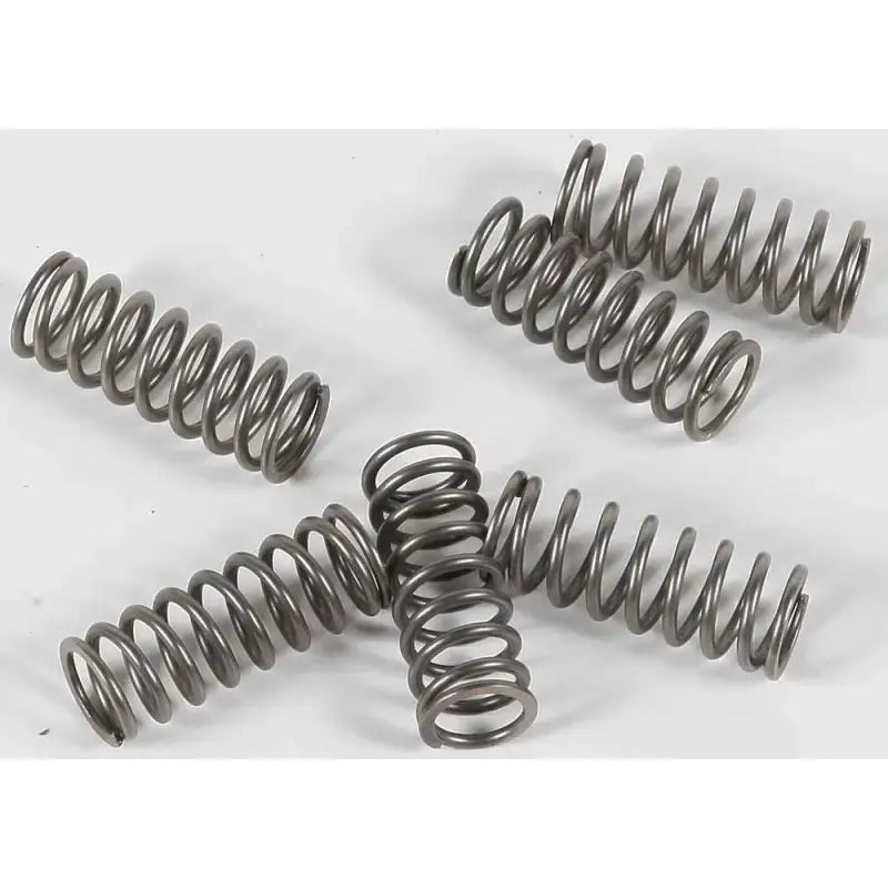 EBC CSK133 Clutch Springs