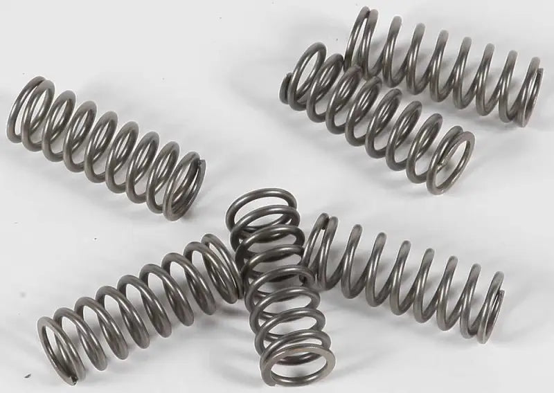 EBC CSK133 Clutch Springs