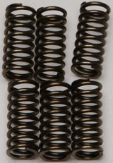 EBC CSK144 Clutch Springs