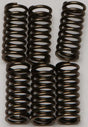 EBC CSK144 Clutch Springs