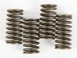 CSK150 Clutch Springs Csk150 - Redline