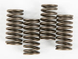 CSK150 Clutch Springs Csk150 - Redline