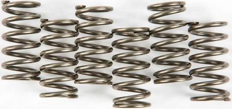 EBC CSK158 Clutch Springs