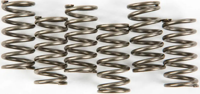 EBC CSK158 Clutch Springs