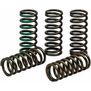CSK19450-CS Clutch Spring Kaw