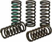 CSK19450-CS Clutch Spring Kaw