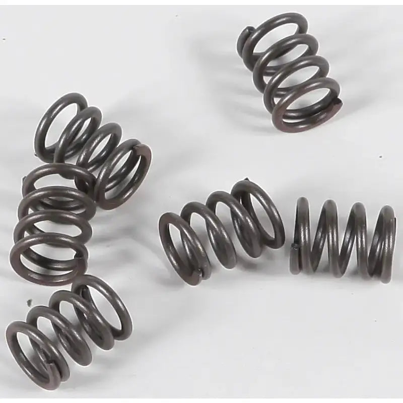 CSK21 Clutch Springs Csk21 - Redline