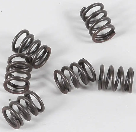 CSK21 Clutch Springs Csk21 - Redline