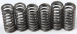 CSK210 Clutch Springs Csk210 - Redline