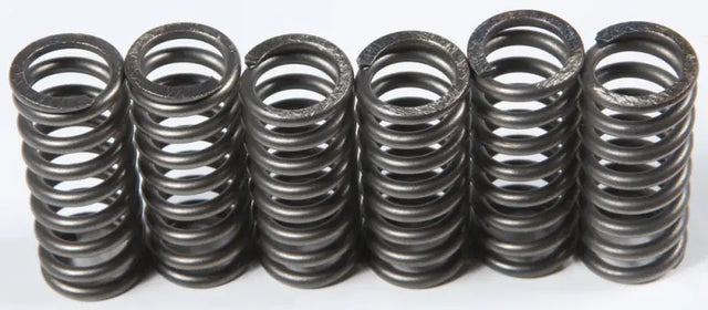 CSK210 Clutch Springs Csk210 - Redline