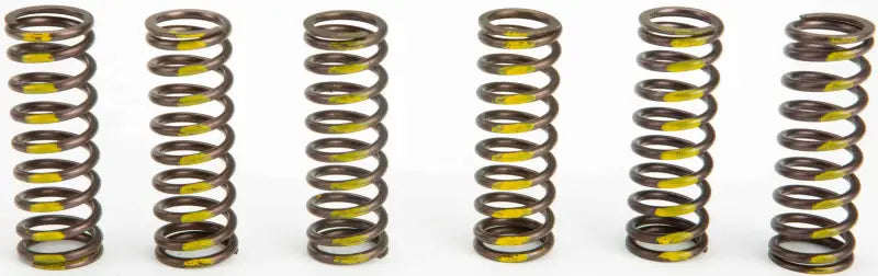 CSS05450 Clutch Springs