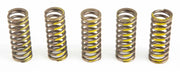 CSS07250 Clutch Springs