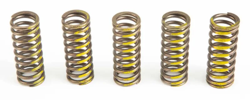 CSS07250 Clutch Springs