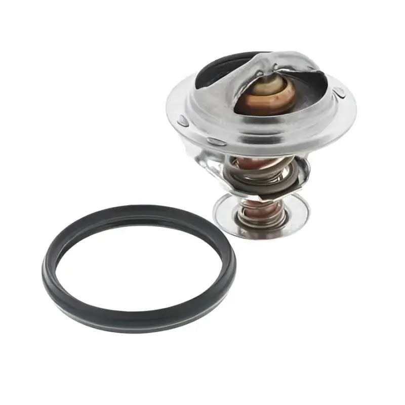 851-198 Thermostat