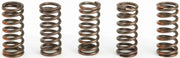 CST13085 Clutch Springs