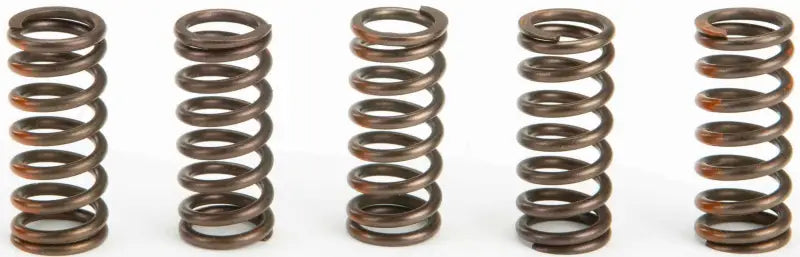CST13085 Clutch Springs