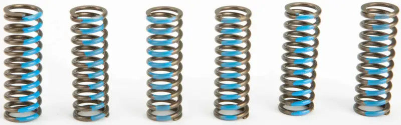 CSY06450 Clutch Springs