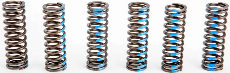 CSY10450-CS Clutch Springs
