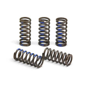 CSY19065-CS Clutch Springs