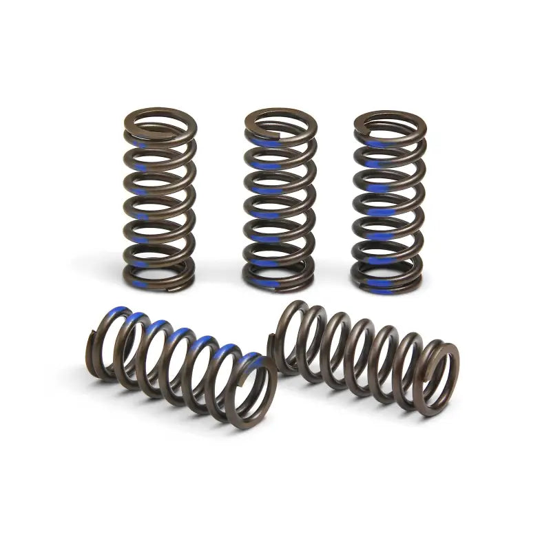 CSY19065-CS Clutch Springs