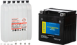 Battery Ctx30l Bs Ft Maintenance Free - FIRE POWER
