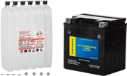 Battery Ctx30l Bs Ft Maintenance Free - FIRE POWER
