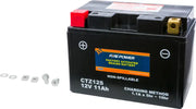 CTZ12S Battery Ctz12s Sealed Factory Activated 