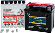 CTZ7S-BS Battery Ctz7s Bs Maintenance Free 