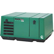 Cummins/Onan A073X541 - Carbon