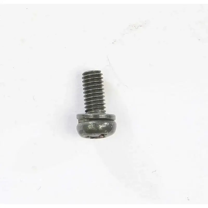 CW2=0307-G Screw W/Washer