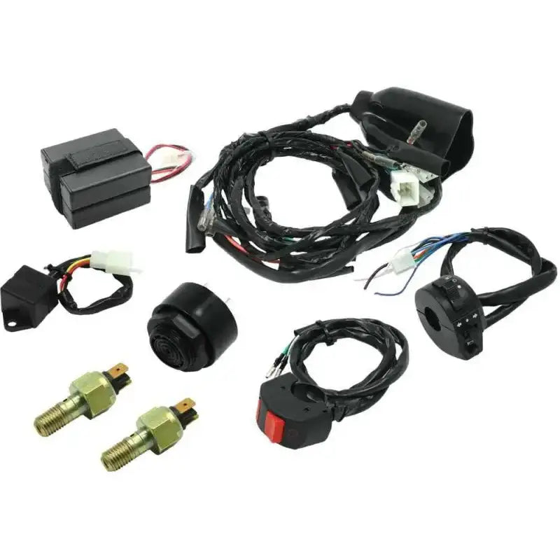 D45-70-053 Ez Electric Wire Kit W/ Anato/601 Flasher