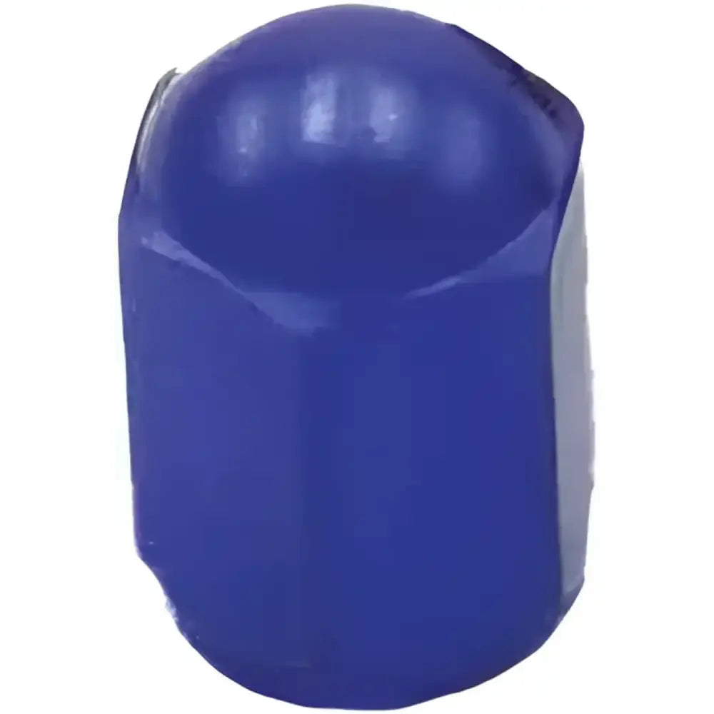 D58-03-102 Air Valve Caps Blue 2/Pk