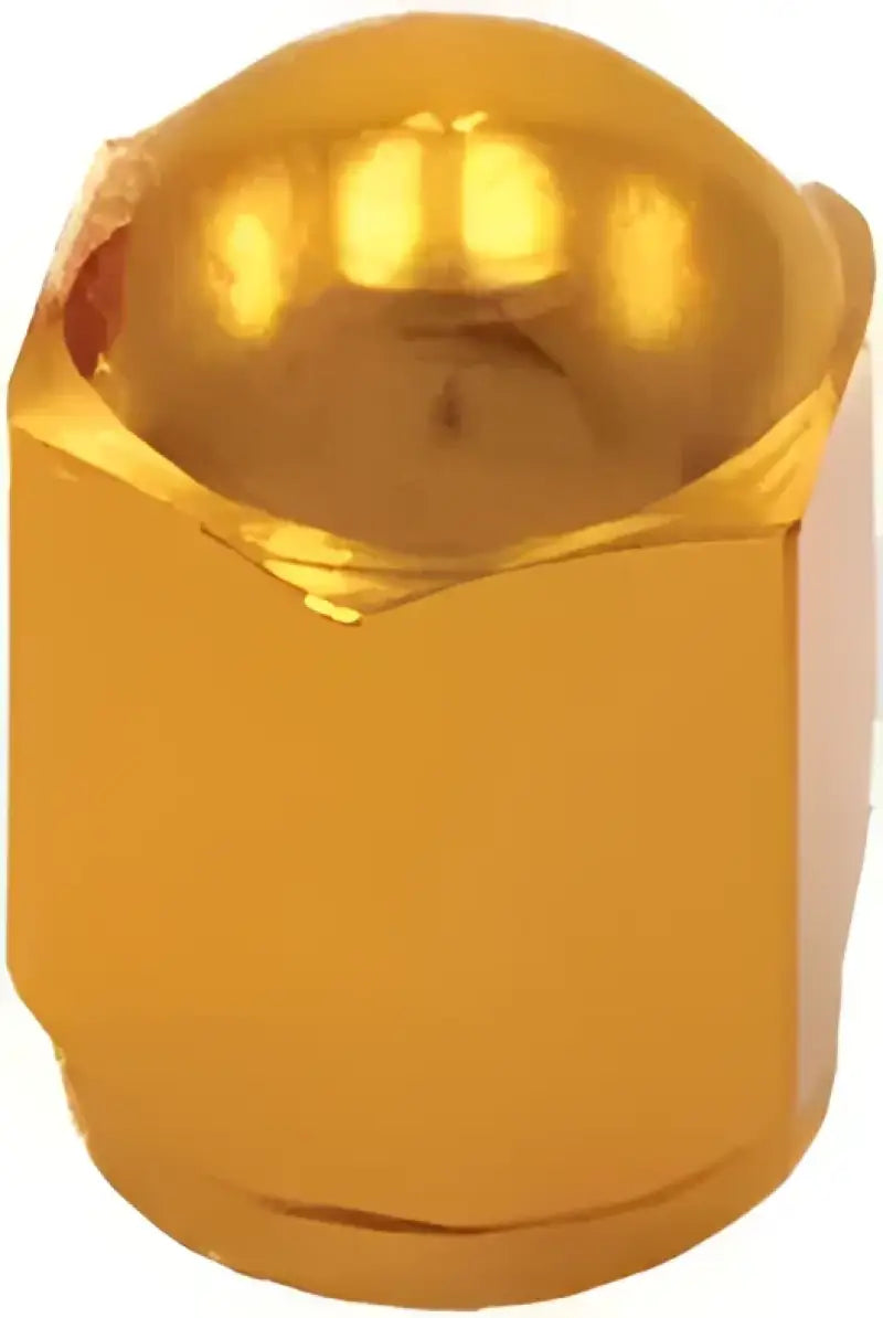 D58-03-103 Air Valve Caps Gold 2/Pk