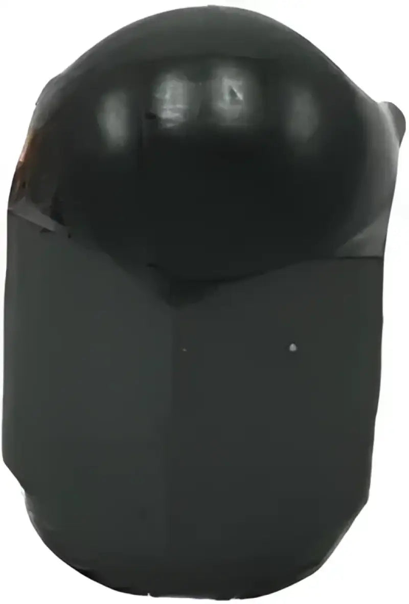 D58-03-104 Air Valve Caps Black 2/Pk